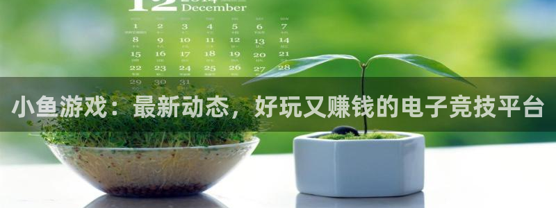 极悦娱乐线路测试